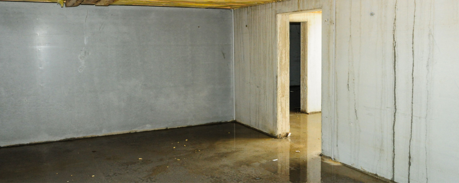 basement waterproofing champaign il
